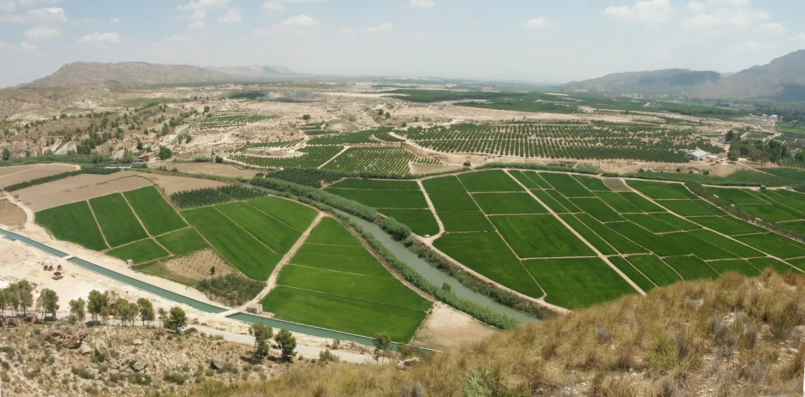 Campos de regadío de la Vega del Segura vistos desde la sierra